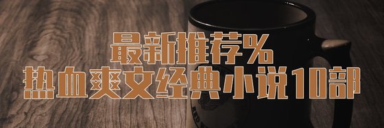 最新推荐%热血爽文经典小说10部
